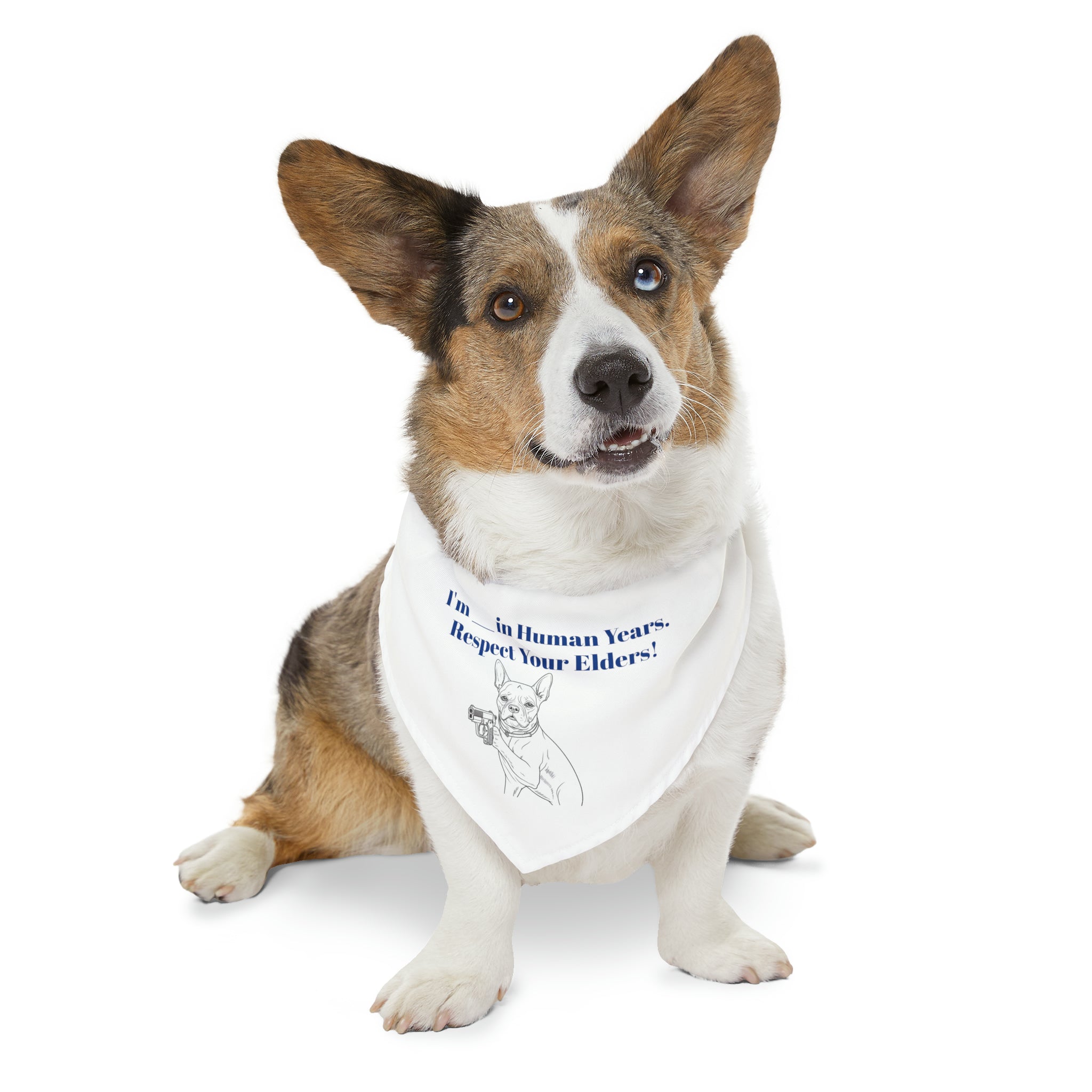 I'm ______ in Human Years Respect Your Elders! Pet Bandana Collar Customizable Age-Fun Accessory Gift for Pet Owners Gift for Dog Lovers