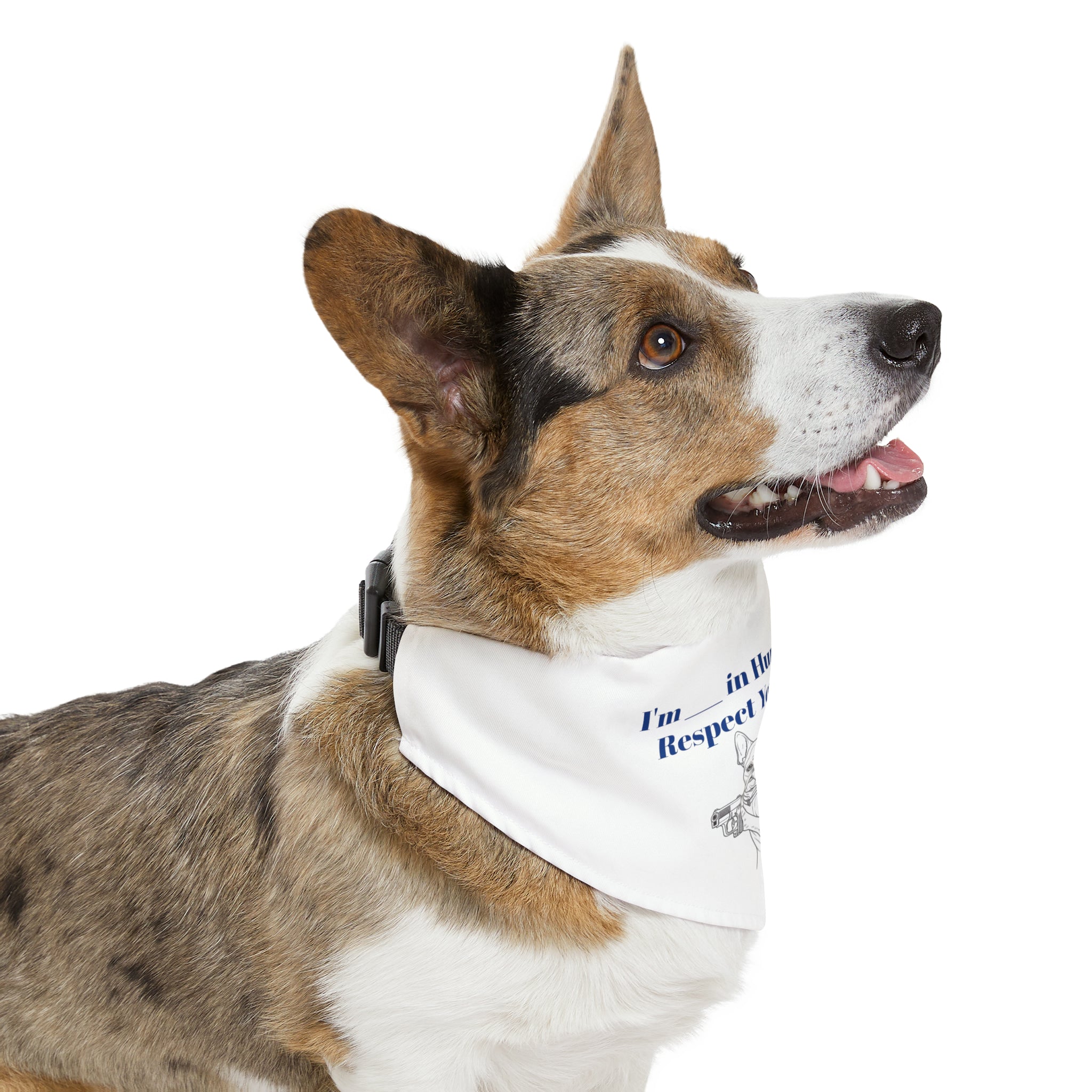 I'm ______ in Human Years Respect Your Elders! Pet Bandana Collar Customizable Age-Fun Accessory Gift for Pet Owners Gift for Dog Lovers