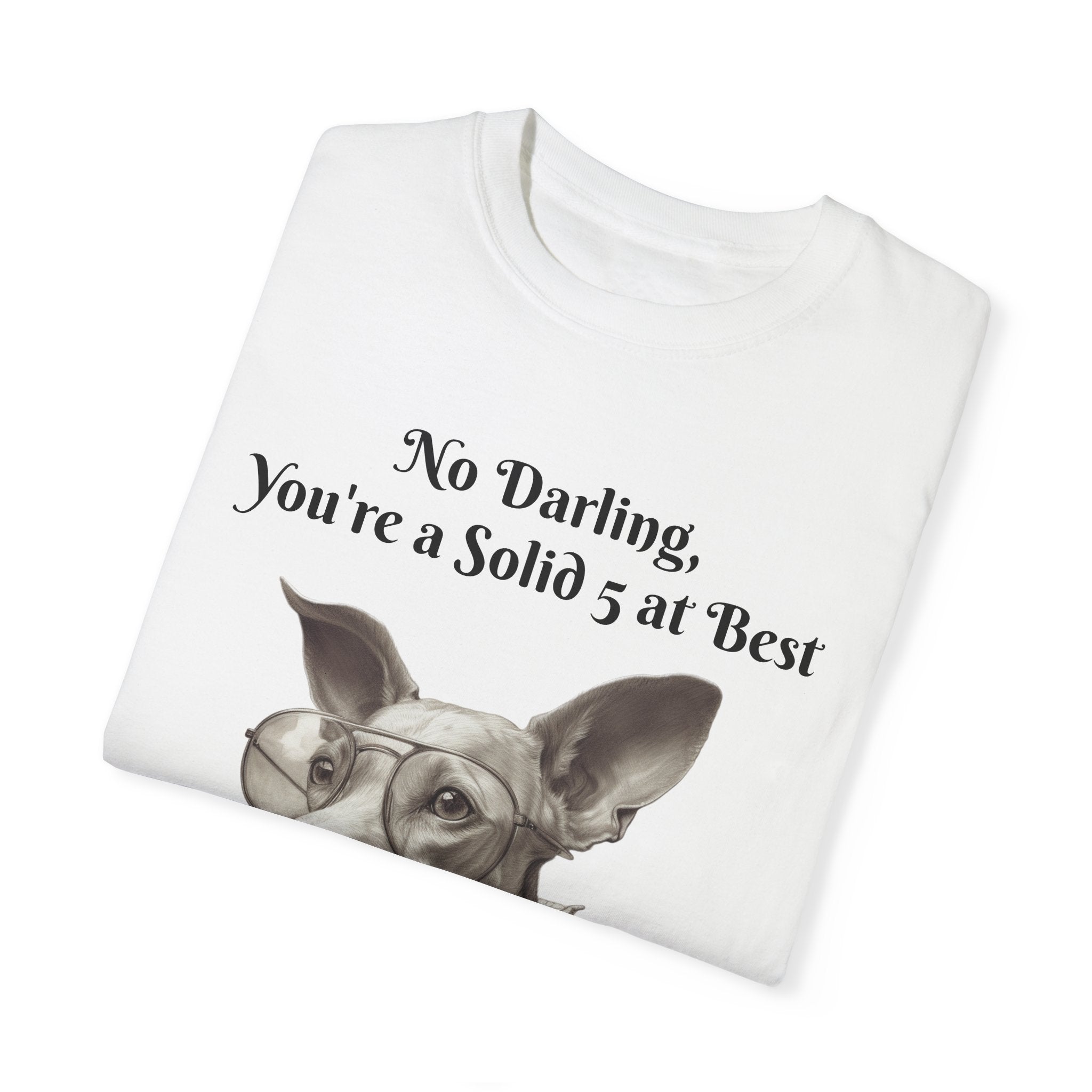 Funny T-shirt Mens Garment-Dyed T-shirt--Humor Tee - "No Darling, You're a Solid 5 at Best" - Bold Statement Shirt- Perfect Gift for His Funny Moments Unisex for All